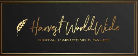 Digital Media Marketing Experts 